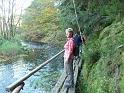 2010 DAV Rieblichwanderung 10.10.klein 025